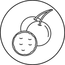 Wiśnia