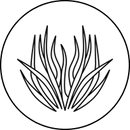 Wetiwer