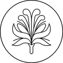 Szafran
