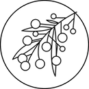 Różowy pieprz