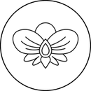 Fioletowy