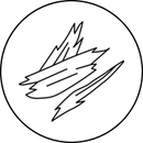 Guaiac Wood